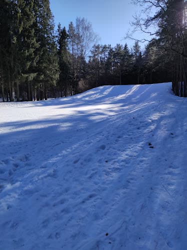 Palermo metsa matkarada - Rakvere