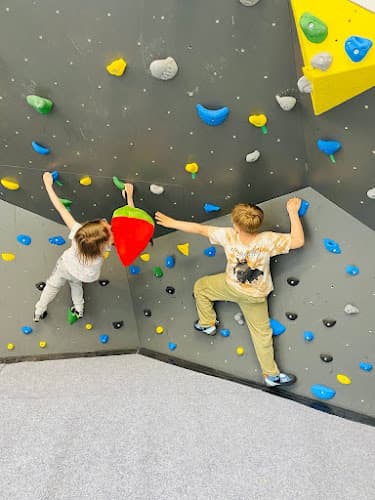 KoalaRocks laste ja noorte ronimisklubi - Tallinn