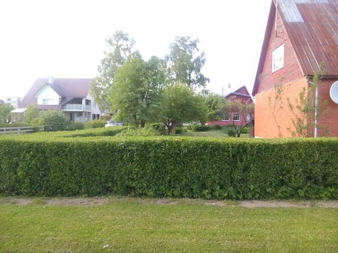 L.V. Tavaline OÜ - Viljandi