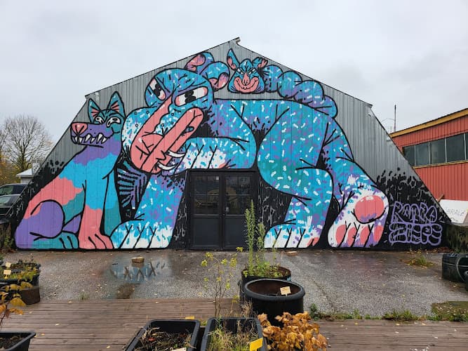 Ajuokse Avangaar - Tartu