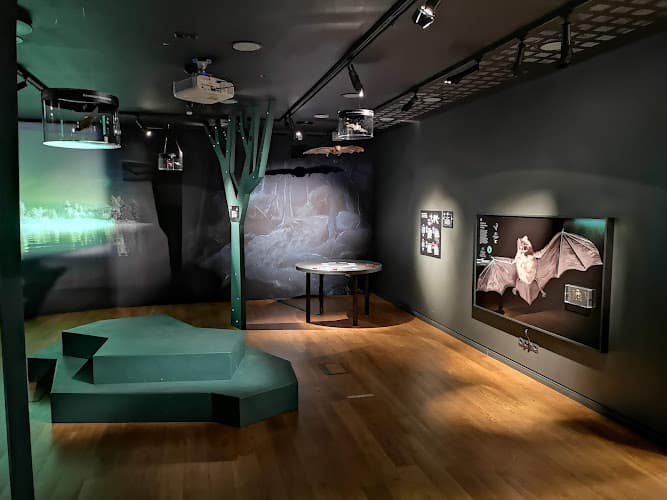 Estonian Museum of Natural History - Tallinn