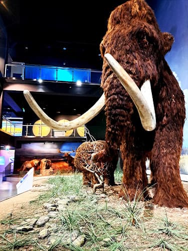 Ice Age Centre - Äksi